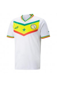 Senegal Voetbaltruitje Thuis tenue WK 2022 Korte Mouw